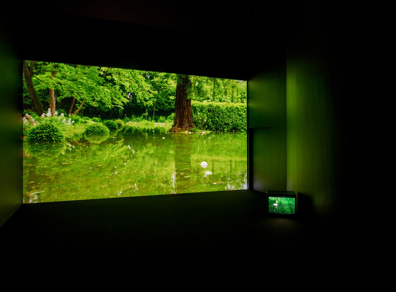 Installation view of video work by Douglas Gordon