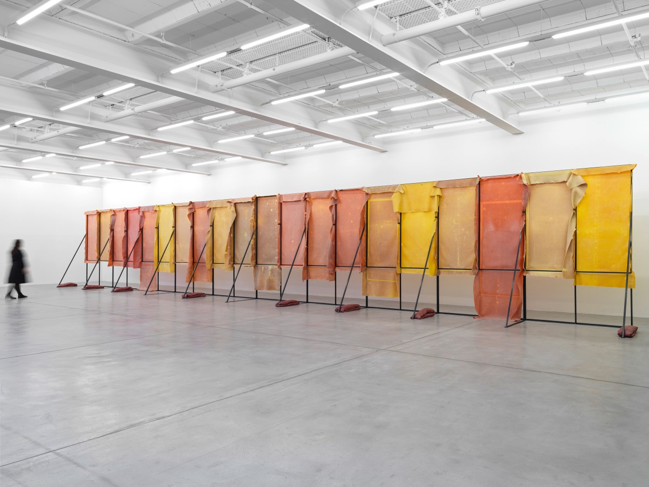 Corridor (Variation 2)

2024/2025

Metal, latex, pigment, talcum, sandbags

Dimensions variable

&amp;copy; Liesl Raff