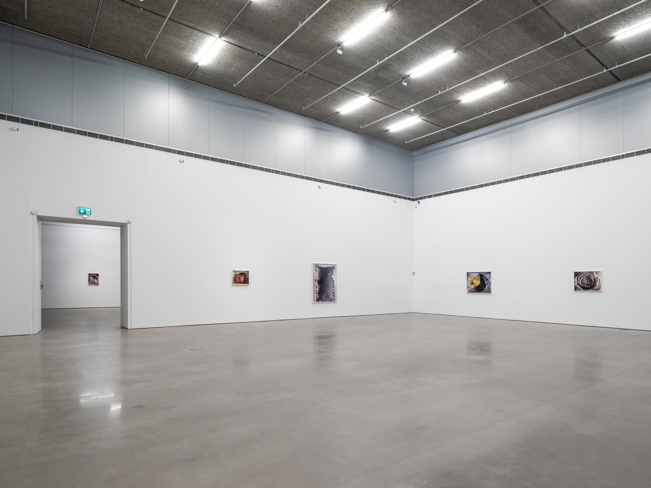 Installation view of photographs by Torbjørn Rødland