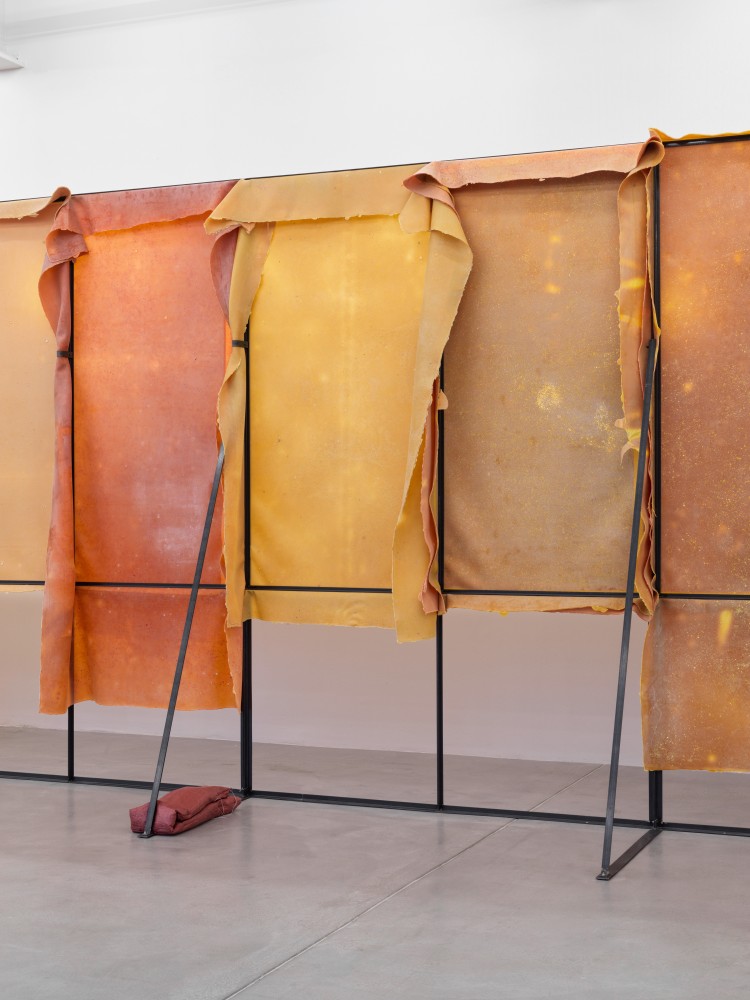 Corridor (Variation 2)

2024/2025

Metal, latex, pigment, talcum, sandbags

Dimensions variable

&amp;copy; Liesl Raff