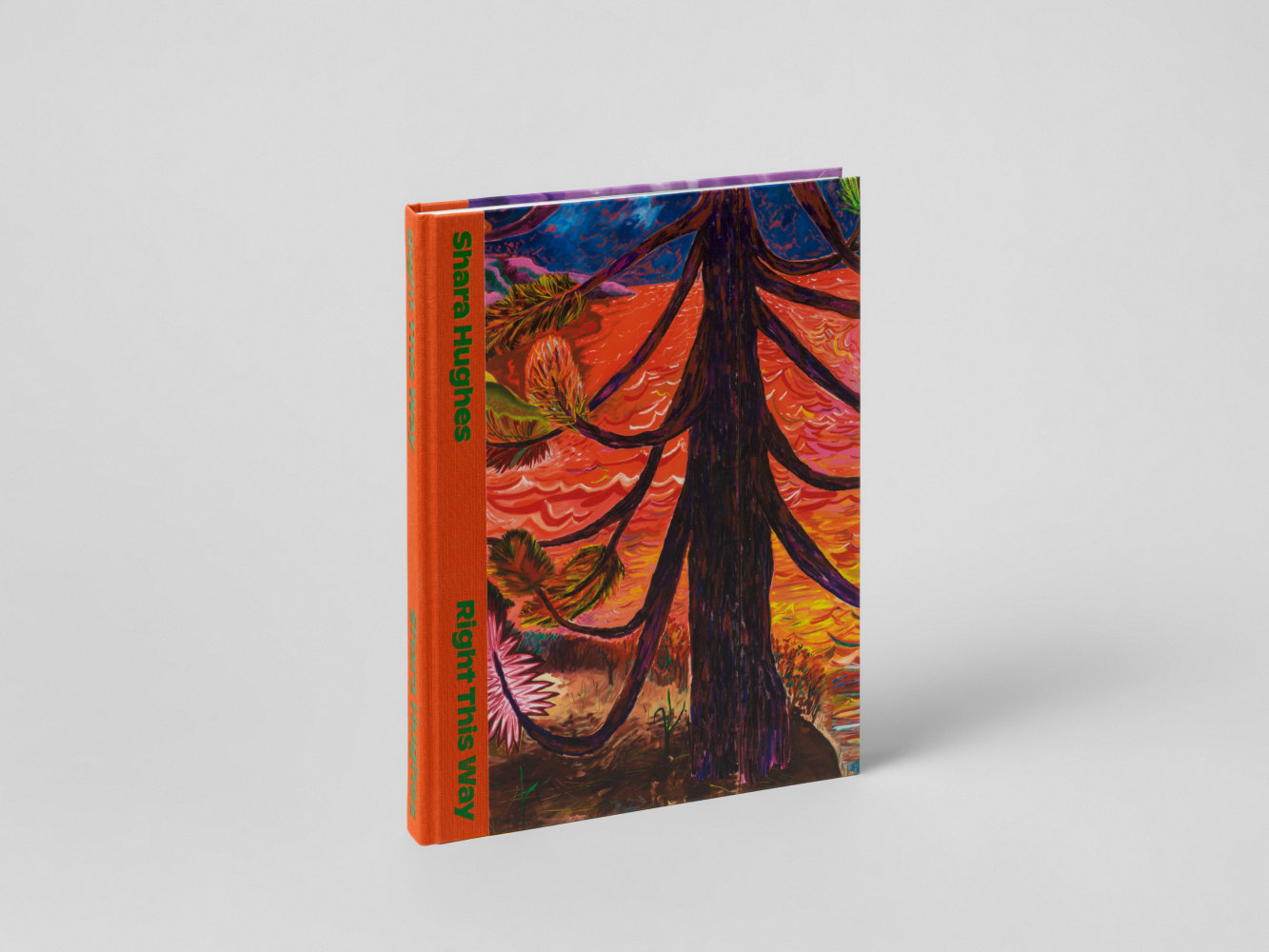 publication Shara Hughes