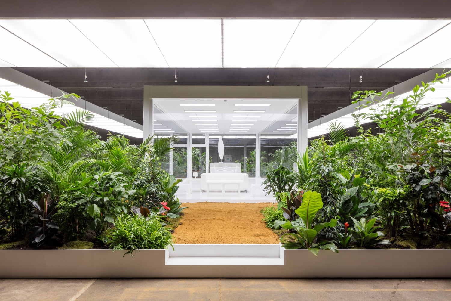 Installation view of living art installation by Doug Aitken