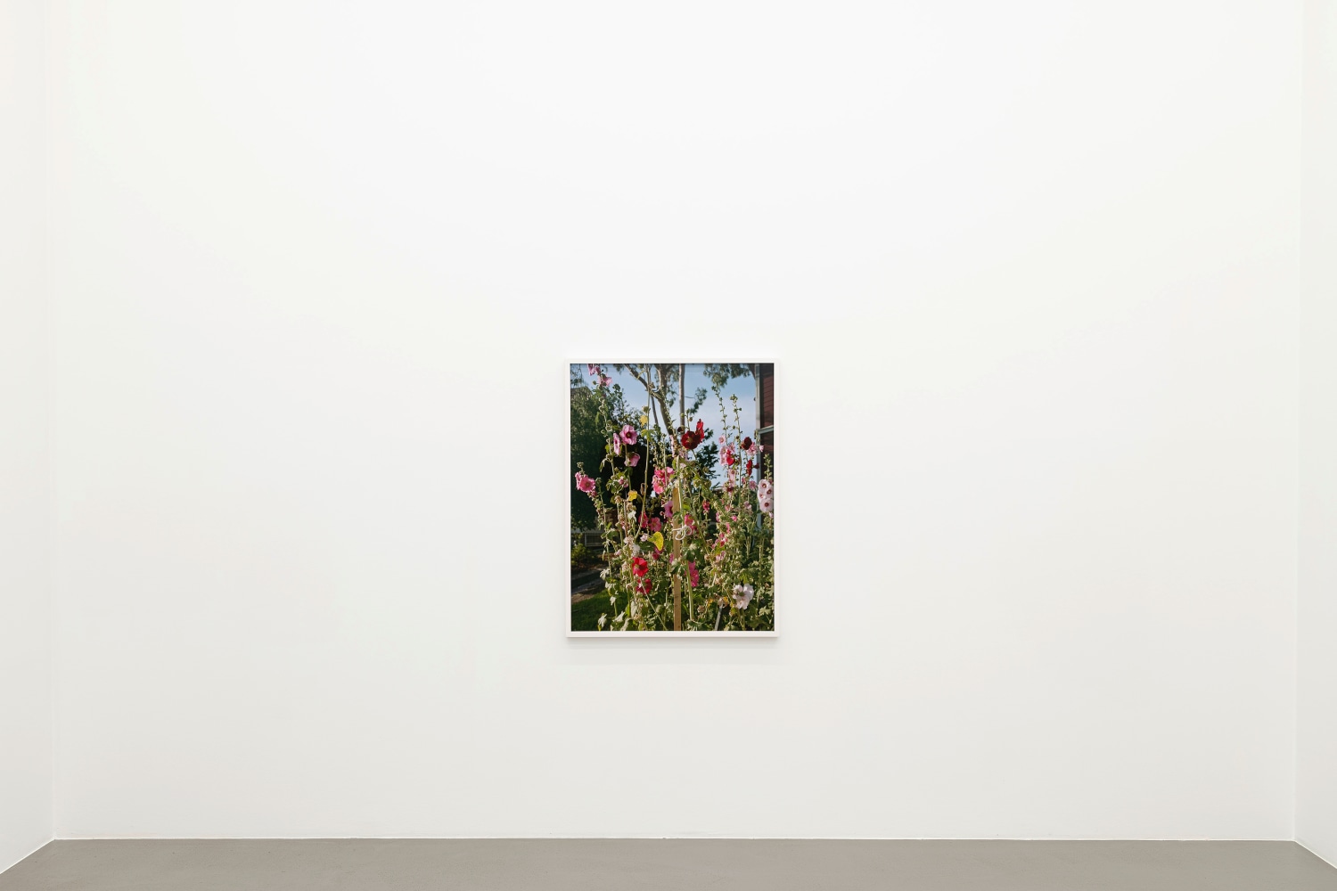 Installation view, Torbj&amp;oslash;rn R&amp;oslash;dland, Slow Life Strategies, Galerie Eva Presenhuber, Vienna, 2025