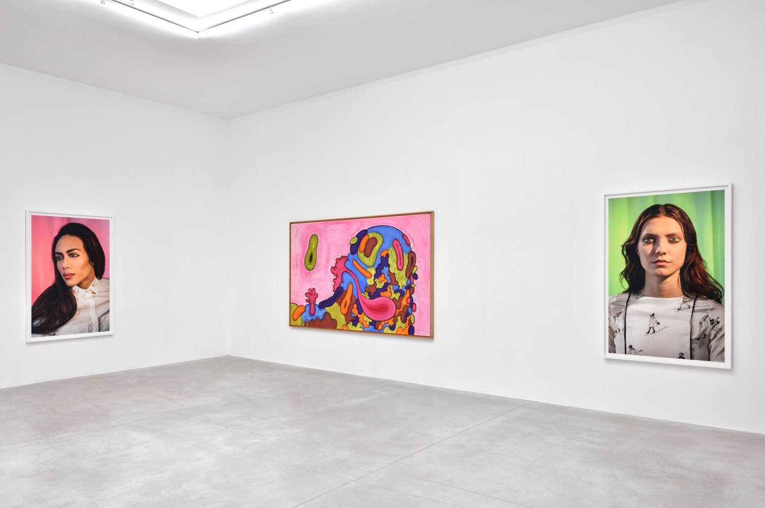 Installation view, Carroll Dunham &amp;amp; Laurie Simmons, Consortium Museum, Dijon, 2024