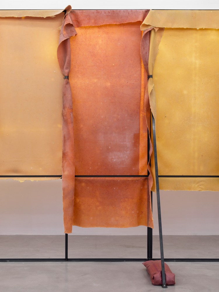 Corridor (Variation 2)

2024/2025

Metal, latex, pigment, talcum, sandbags

Dimensions variable

&amp;copy; Liesl Raff