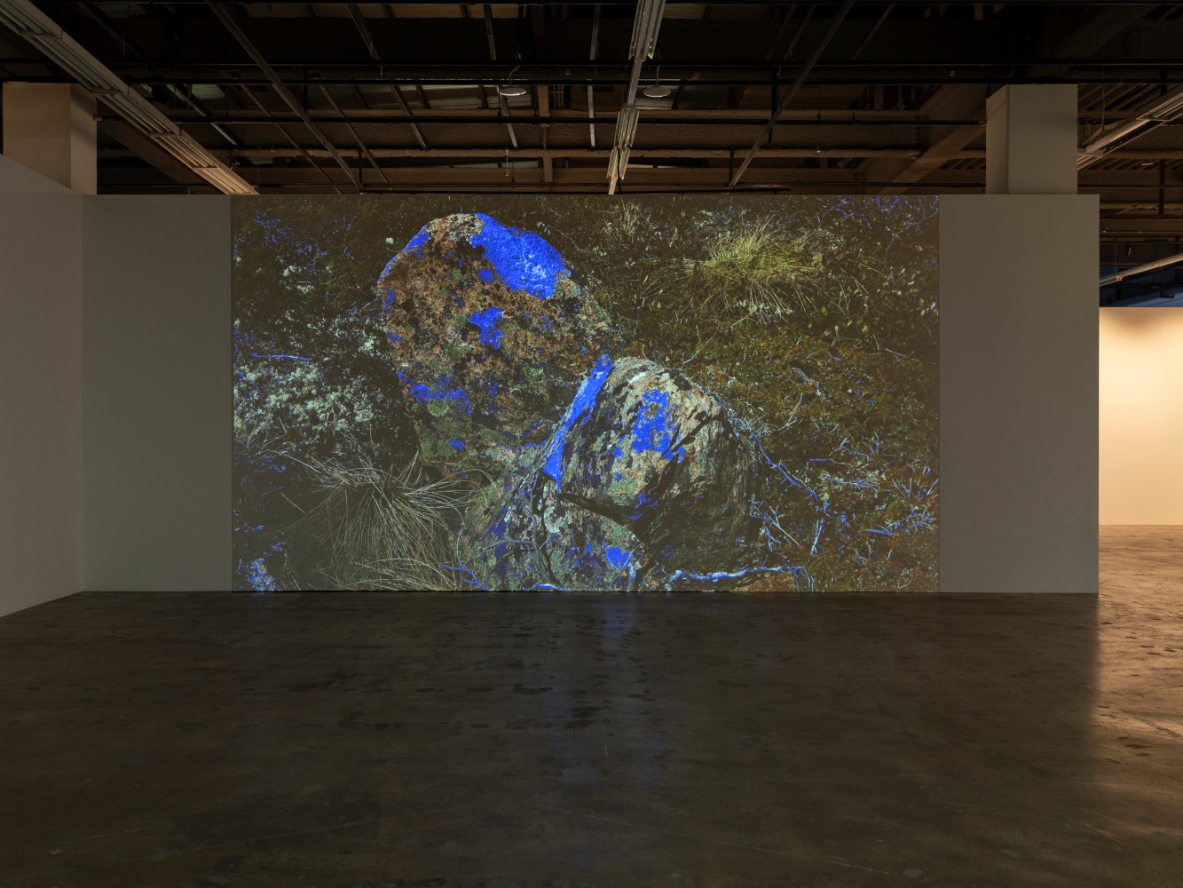 Installation view, Liam Gillick, Quantified Variability, 15th Gwangju Biennale, Gwangju, 2024