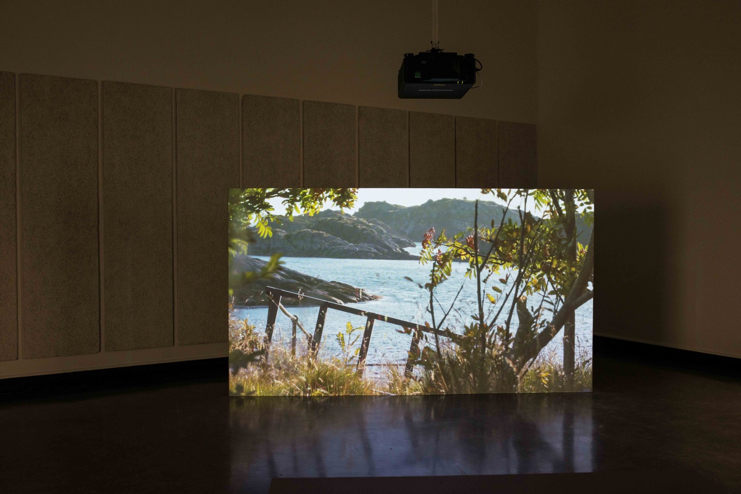 Installation view of video installation by Torbjørn Rødland