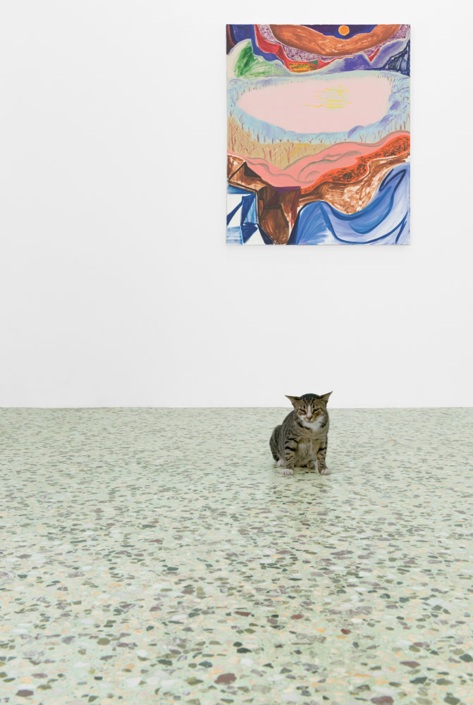 Installation view of Shara Hughes paintings exhibition