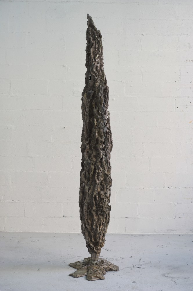 Cypress (Vessel)

2018

Cast aluminum

Unique variation 4/5

215 x 63 x 61 cm / 84 5/8 x 24 3/4 x 24 in

&amp;copy; Jean-Marie Appriou