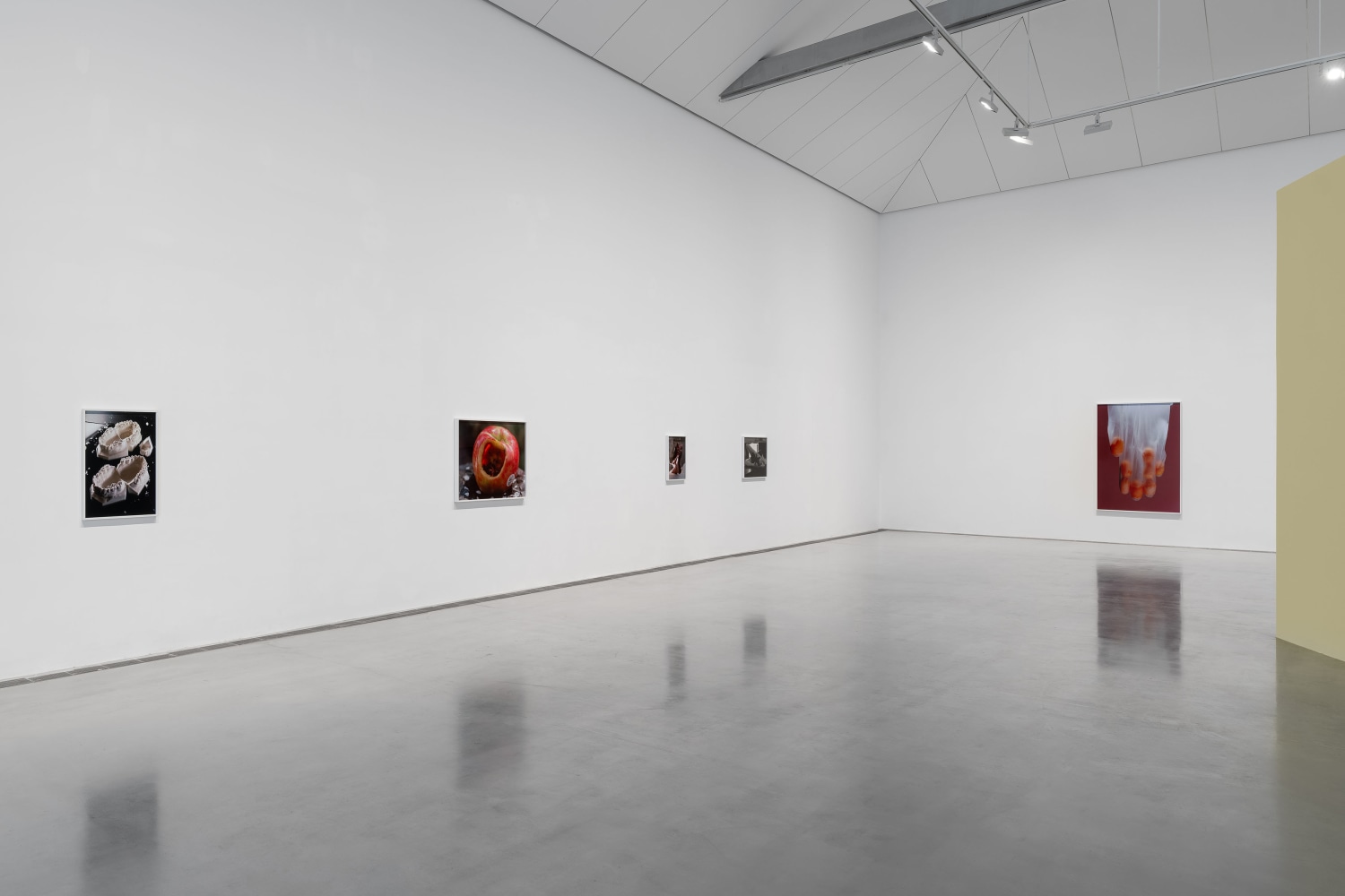 Installation view, Torbj&amp;oslash;rn R&amp;oslash;dland, Songs for the Sun, Yuz Museum, Shanghai, 2025