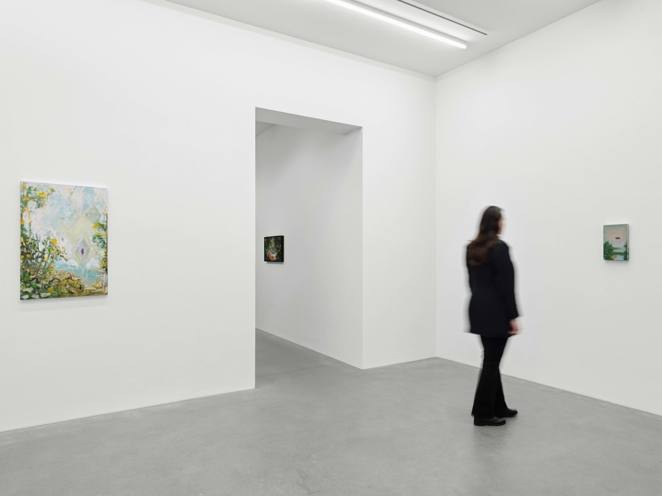 installation view verne dawson