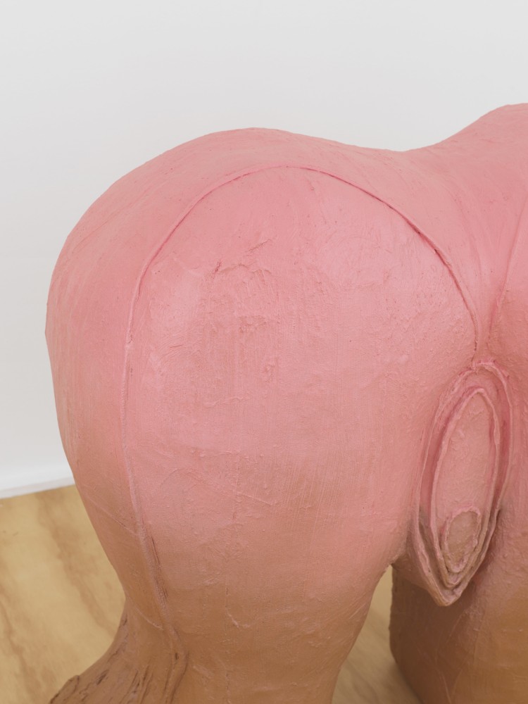 work by Tschabalala Self