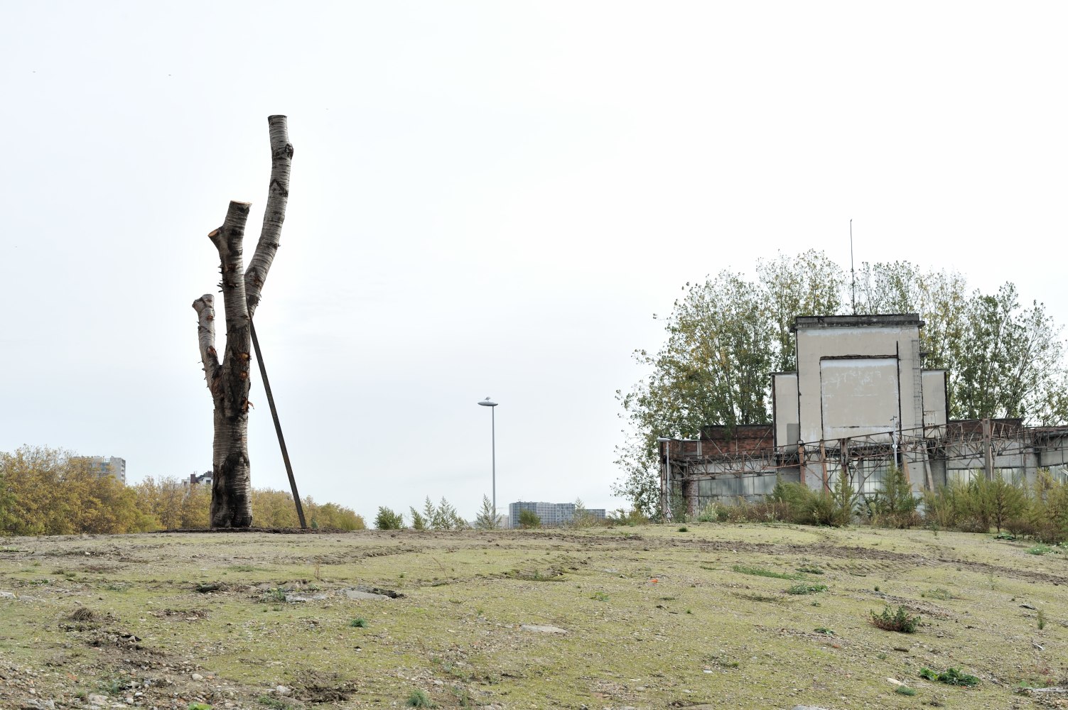 Installation view of sculpture by Oscar Tuazon