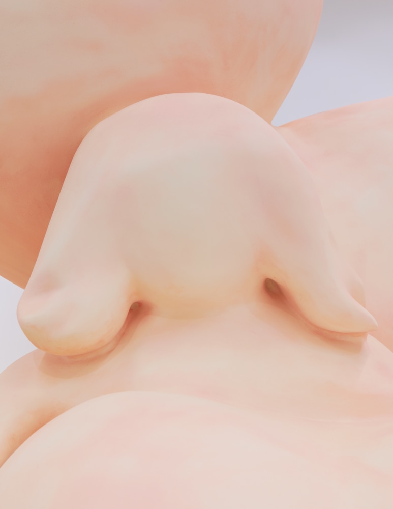 LOUISA GAGLIARDI, YVES SCHERER