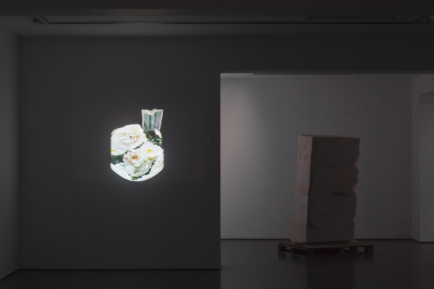 Installation view of videos and sculptures by Trisha Donnelly