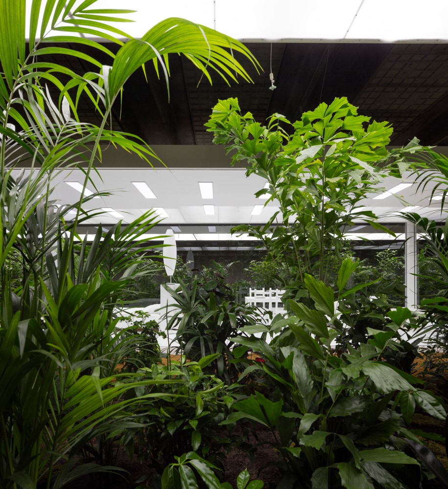 Installation view of living art installation by Doug Aitken