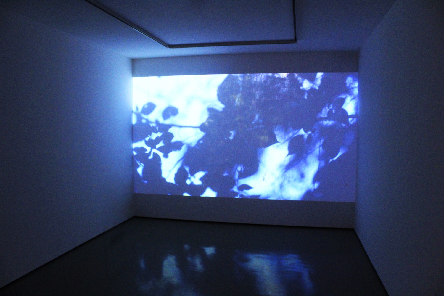 Installation view of video work by Sam Falls