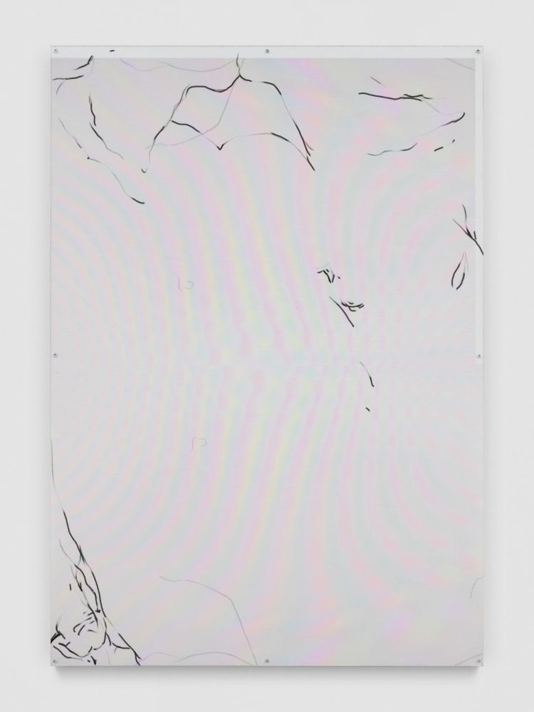 work by Damien Juillard