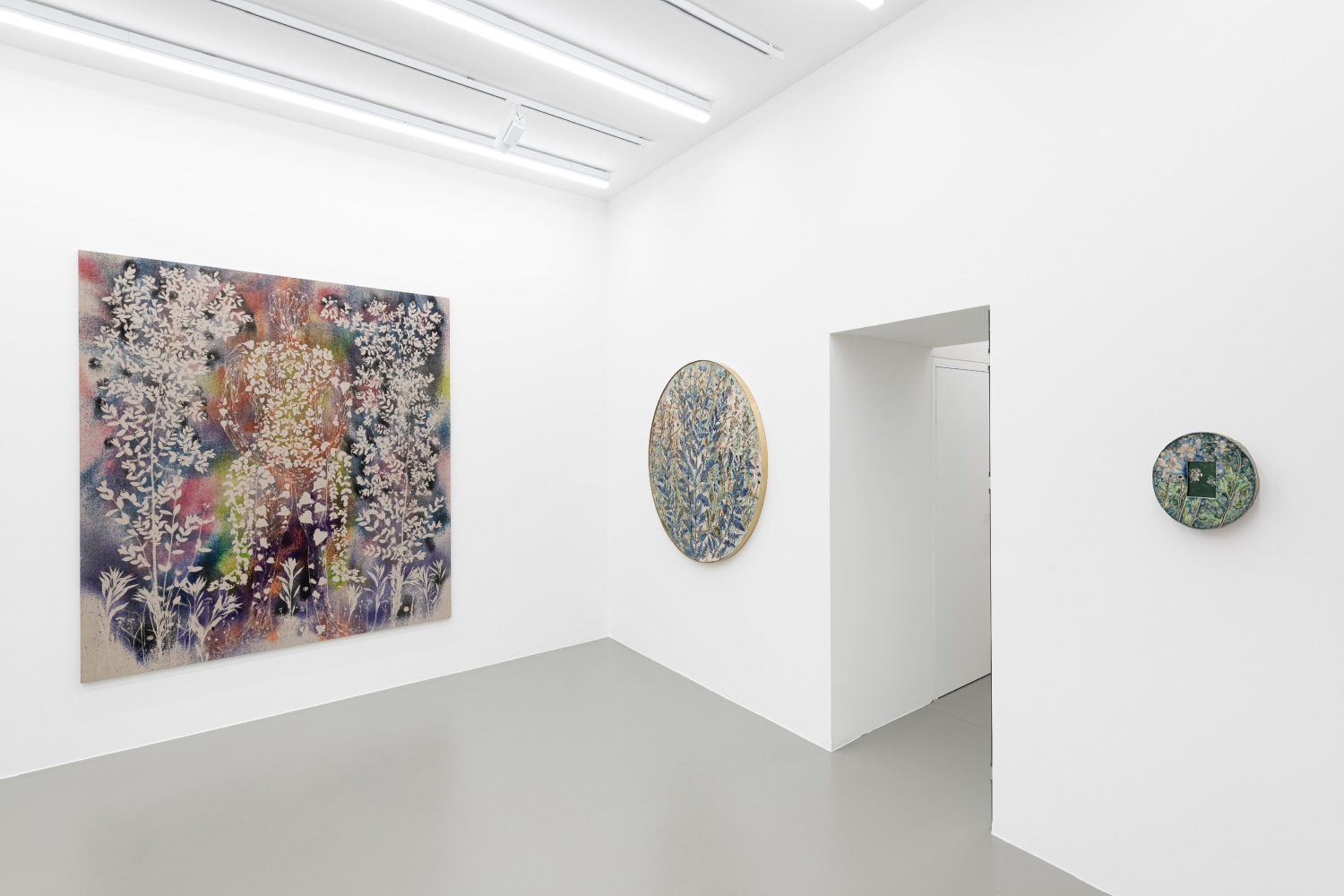 Installation view, Sam Falls, Vienna