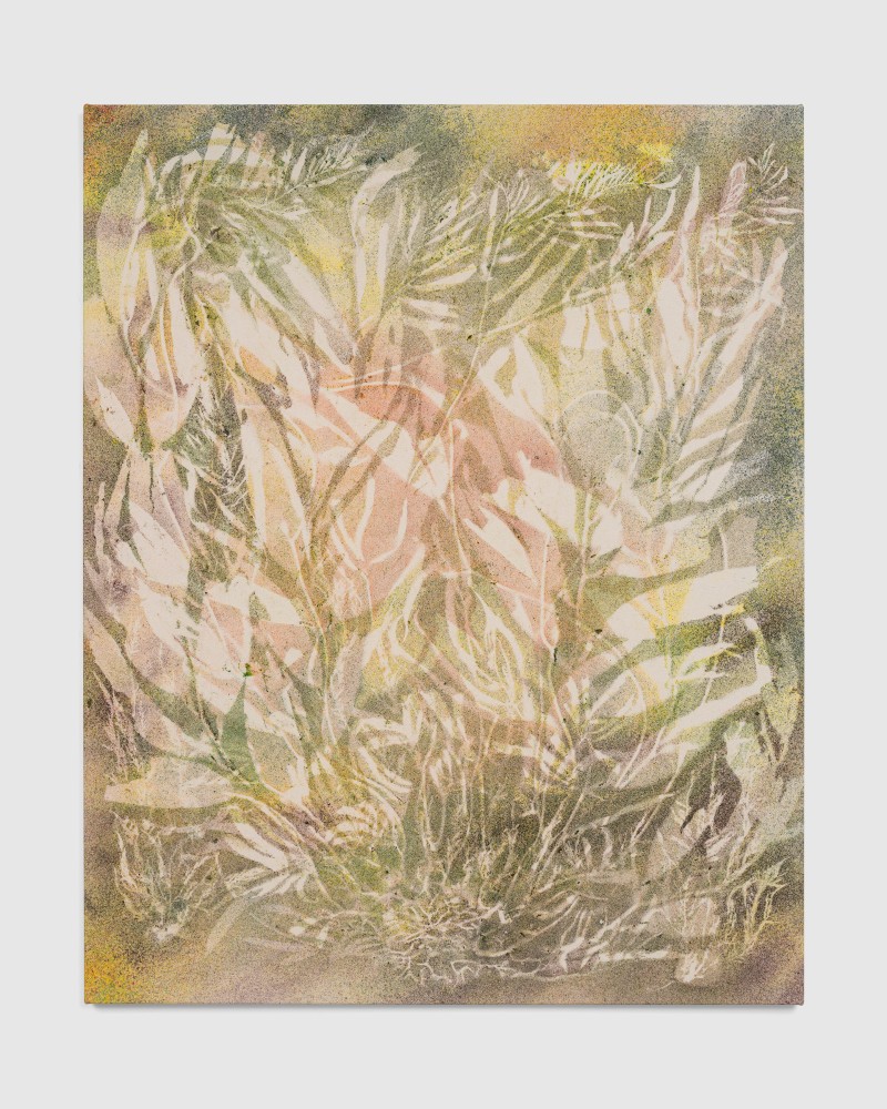 How Things Change (Leo Carrillo)

2025

152.5 x 122 cm / 60 x 48 in

&amp;copy; Sam Falls