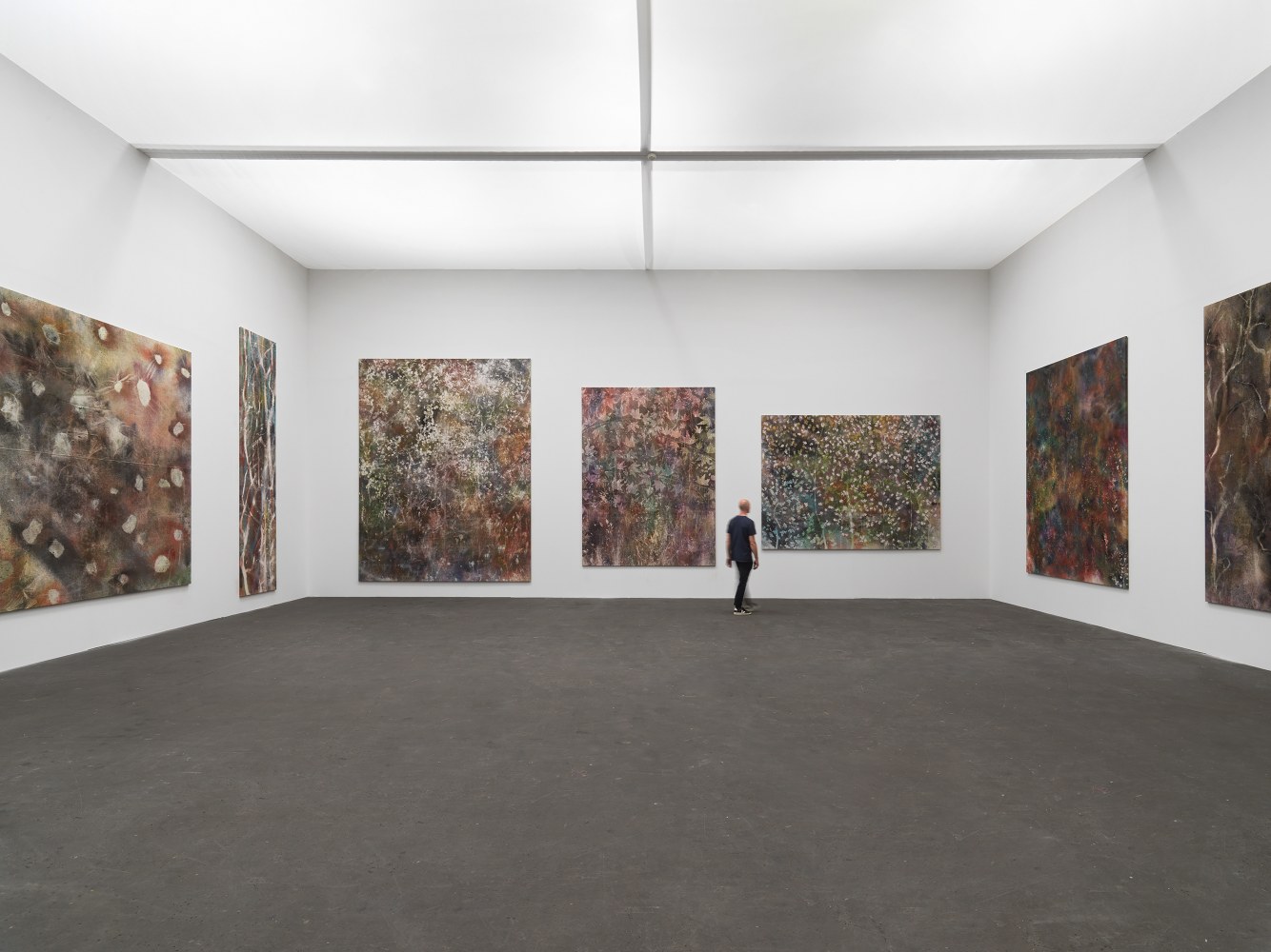 Installation view of paintings by Sam Falls
