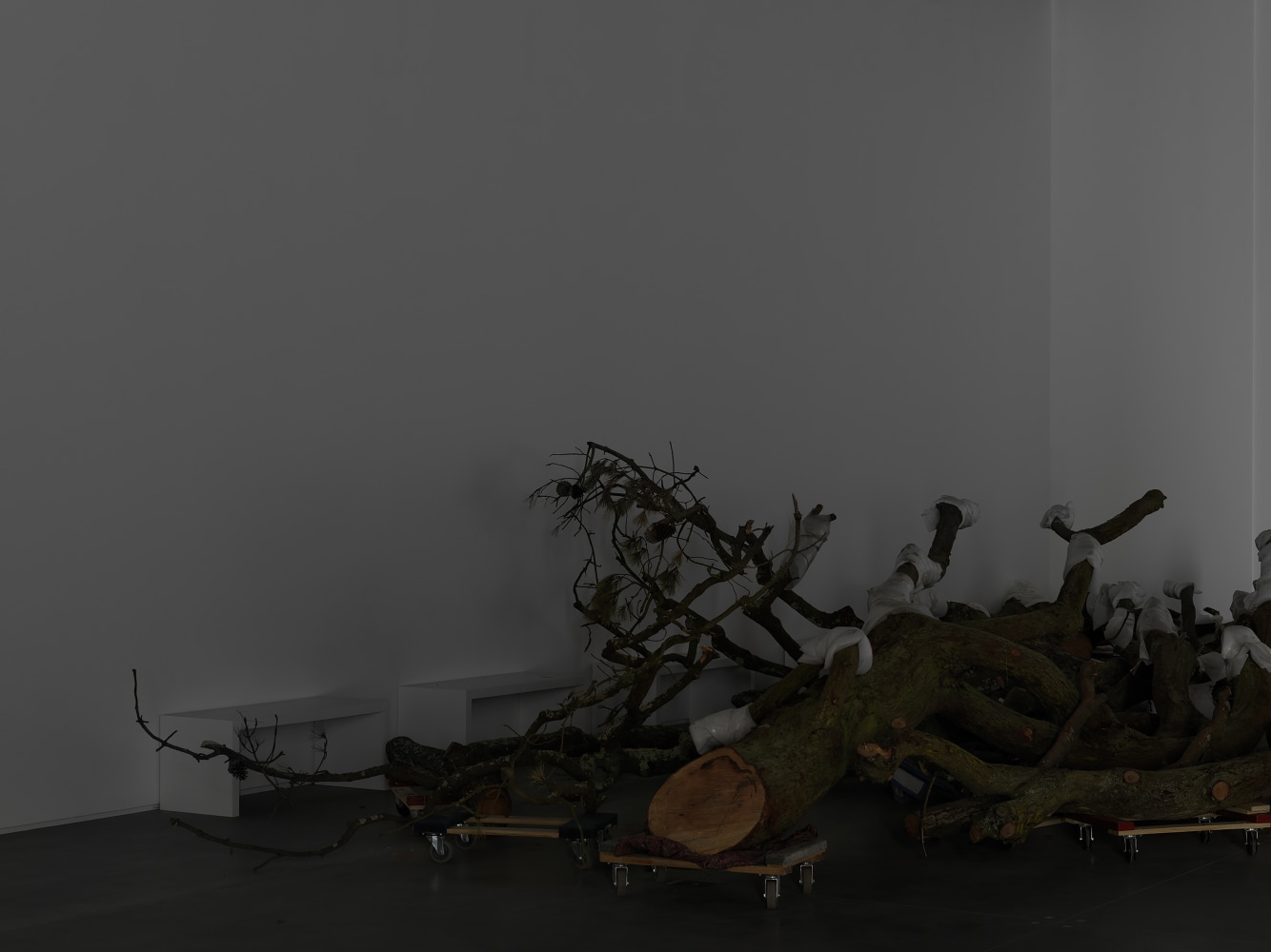 Installation view of sculptures by Trisha Donnelly