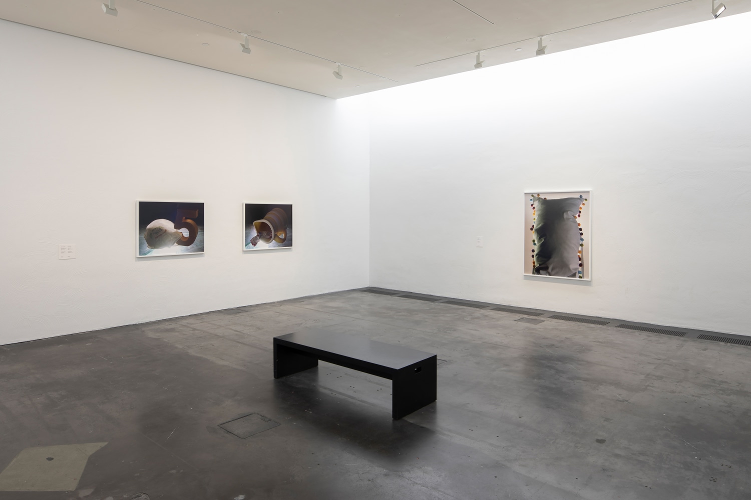 Installation view of photographs by Torbjørn Rødland