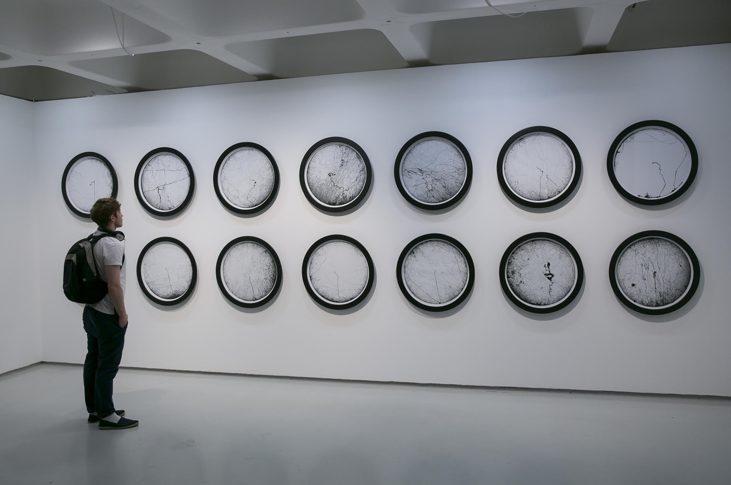 Installation view of living art installation by Doug Aitken