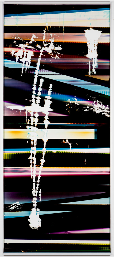 WALEAD BESHTY  Cross-Contaminated RA4 Contact Print   [Black Curl (9:6/CYM/Six Magnet: Los Angeles, California, January 27th 2014, Fuji Color Crystal Archive Super Type C, Em. No. 101-006, Kodak Ektacolor RA Bleach-Fix and Replenisher, Cat. No. 847 1484, 06214), Kreonite KM IV 5225 RA4 Color Processor,Ser. No. 00092174]   2014  Color photographic paper; framed Image 299 x 126.5 cm / 117 3/4 x 49 7/8 in Frame 303 x 131 x 6.5 cm / 119 3/8 x 51 5/8 x 2 1/2 in  BESHT42146