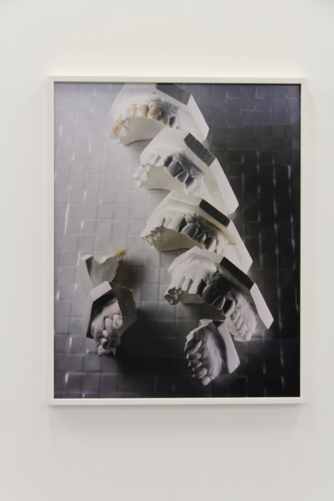 Installation view of photographs by Torbjørn Rødland