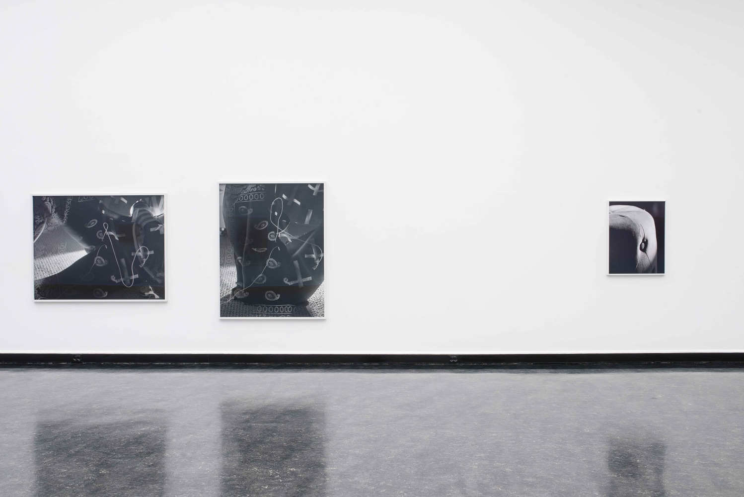 Installation view of photographs by Torbjørn Rødland
