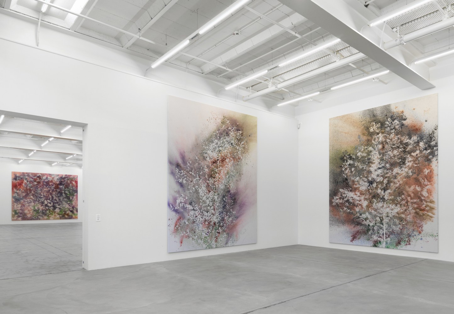Installation view of Sam Falls paintings exhibition