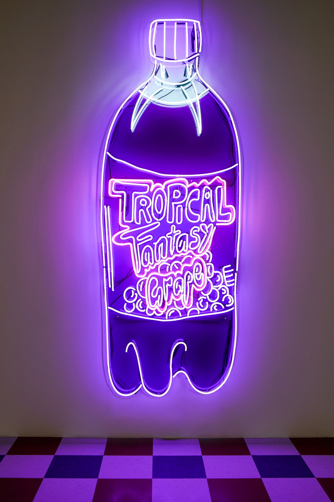 Installation view of wall work by Tschabalala Self