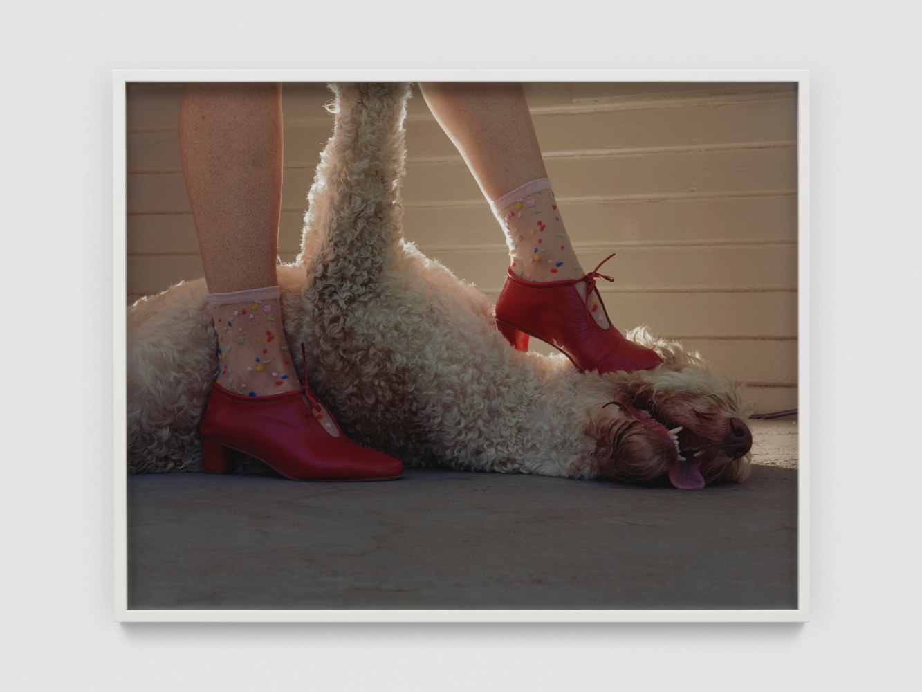 Submissive Companion

2022

Chromogenic print on Kodak Endura paper

Image 60 x 76 cm / 23 5/8 x 29 7/8 in

Frame 61.5 x 77.5 x 3.5 cm / 24 1/4 x 30 1/2 x 1 3/8 in

&amp;copy; Torbj&amp;oslash;rn R&amp;oslash;dland