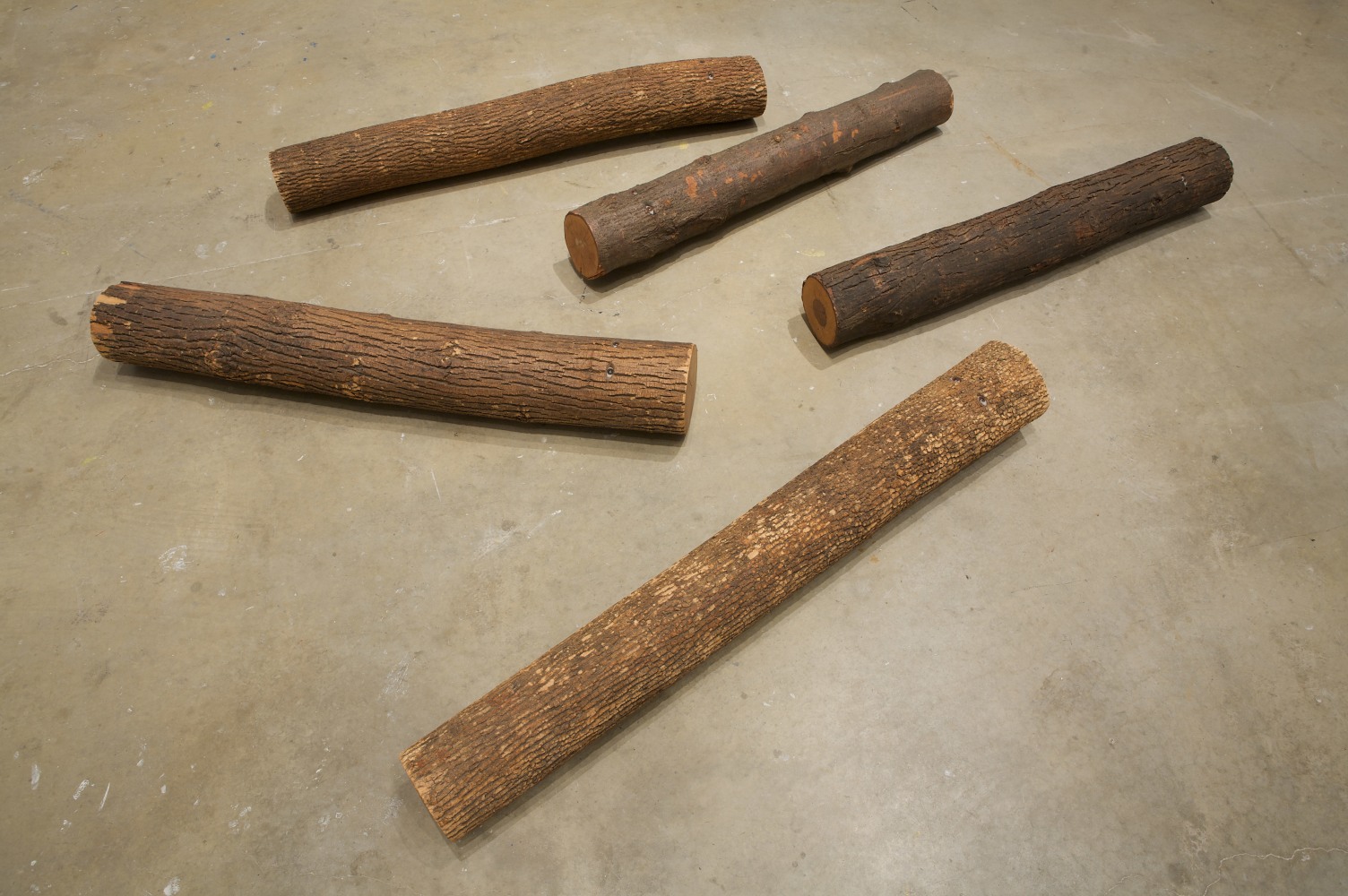 Installation view of works by Tim Rollins and K.O.S.