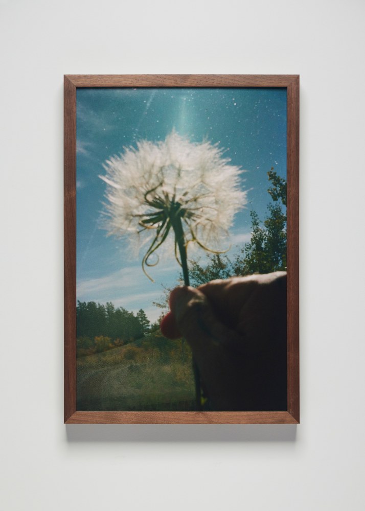 Installation view, Sam Falls, Nothing Without Nature, Cookie Factory, Denver, 2025