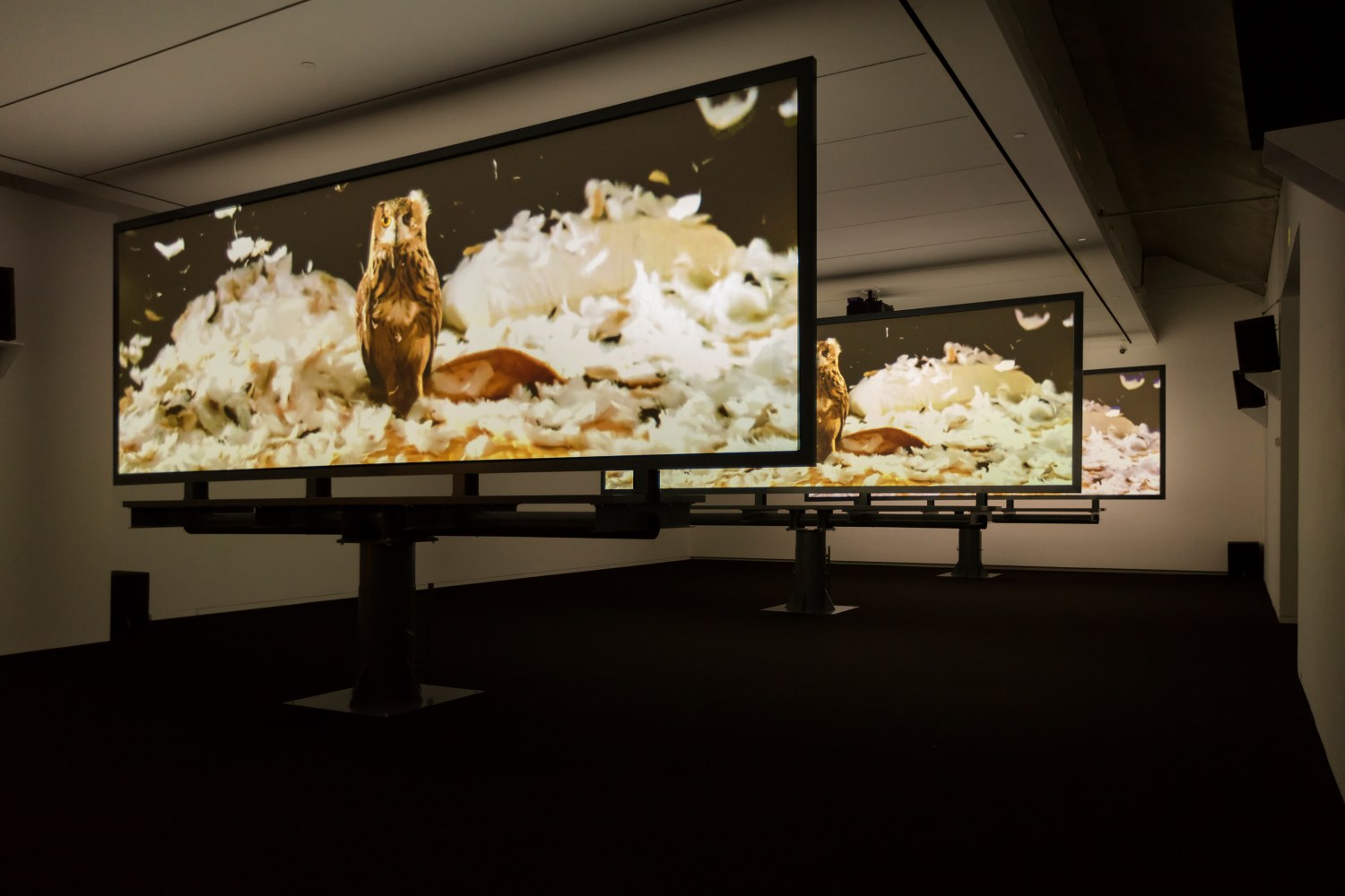 Installation view of Works by Doug Aitken