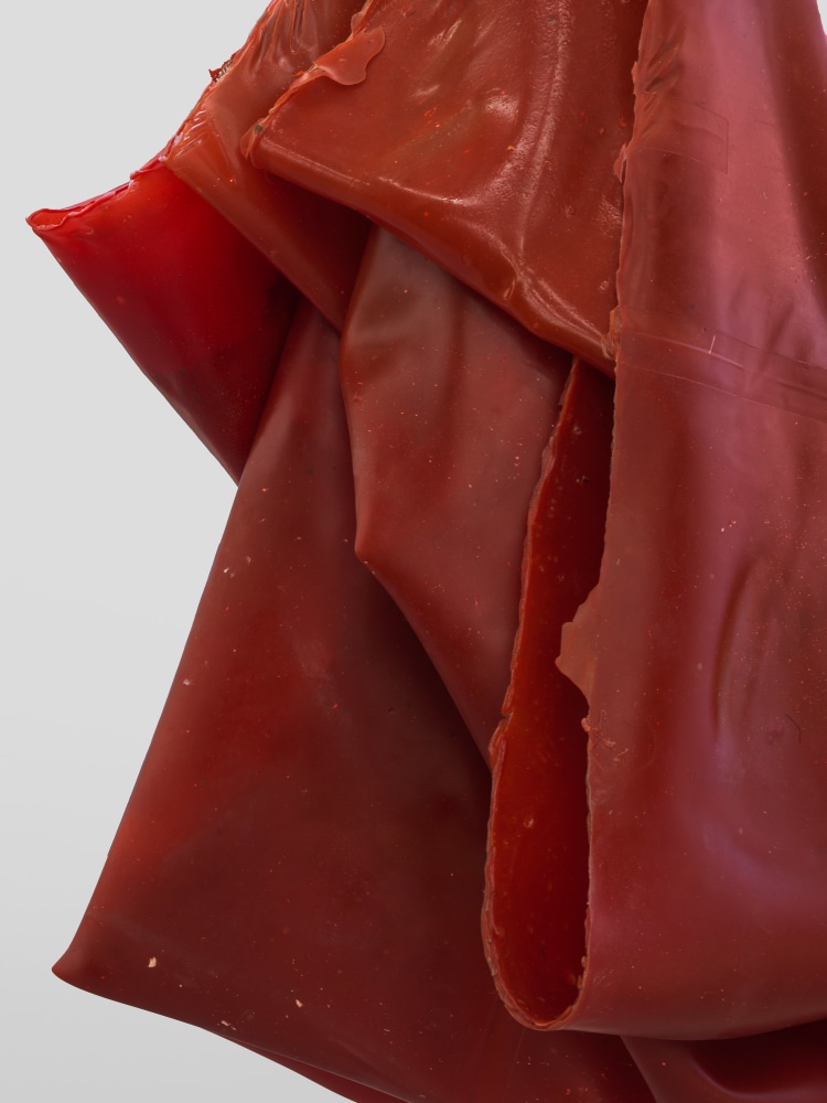 Den 3

2025

Latex, rope, jute, silicone oil

189 x 100 x 91 cm / 74 3/8 x 39 3/8 x 35 7/8 in

&amp;copy; Liesl Raff