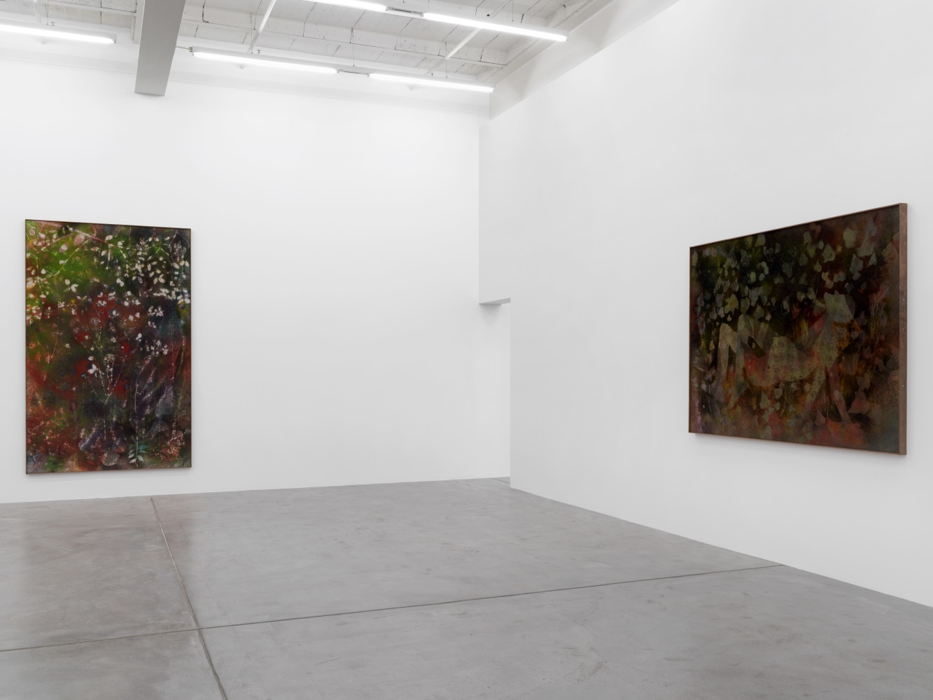 Installation view of Sam Falls paintings and sculptures exhibition