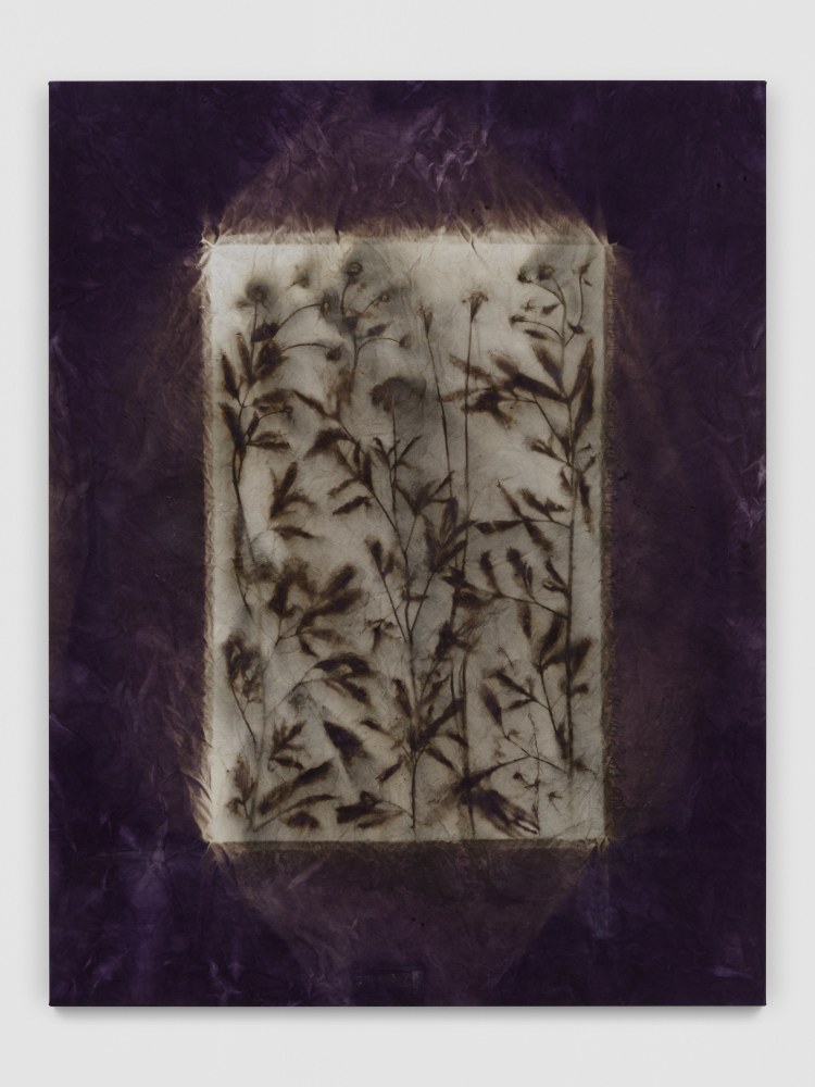 Look at the Shadow, See Life

2023

Natural dyed canvas (Lac)

193 x 150 cm / 76 x 59 in

&amp;copy; Sam Falls