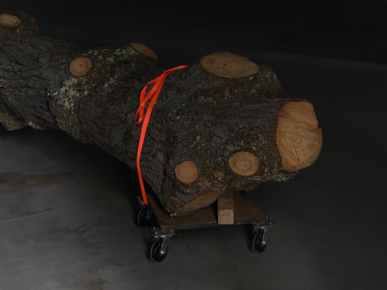 Installation view of sculptures by Trisha Donnelly