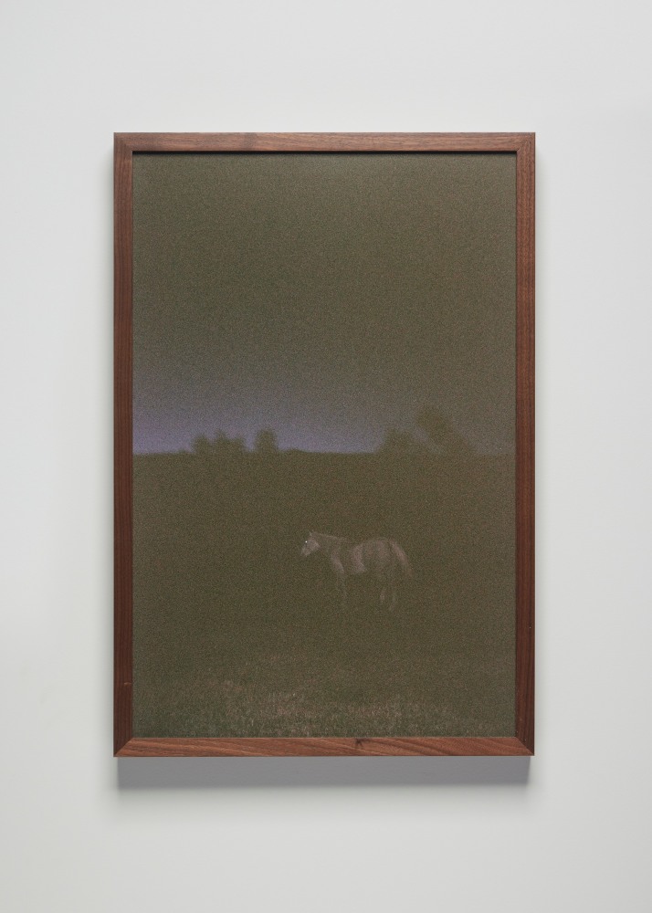 Installation view, Sam Falls, Nothing Without Nature, Cookie Factory, Denver, 2025