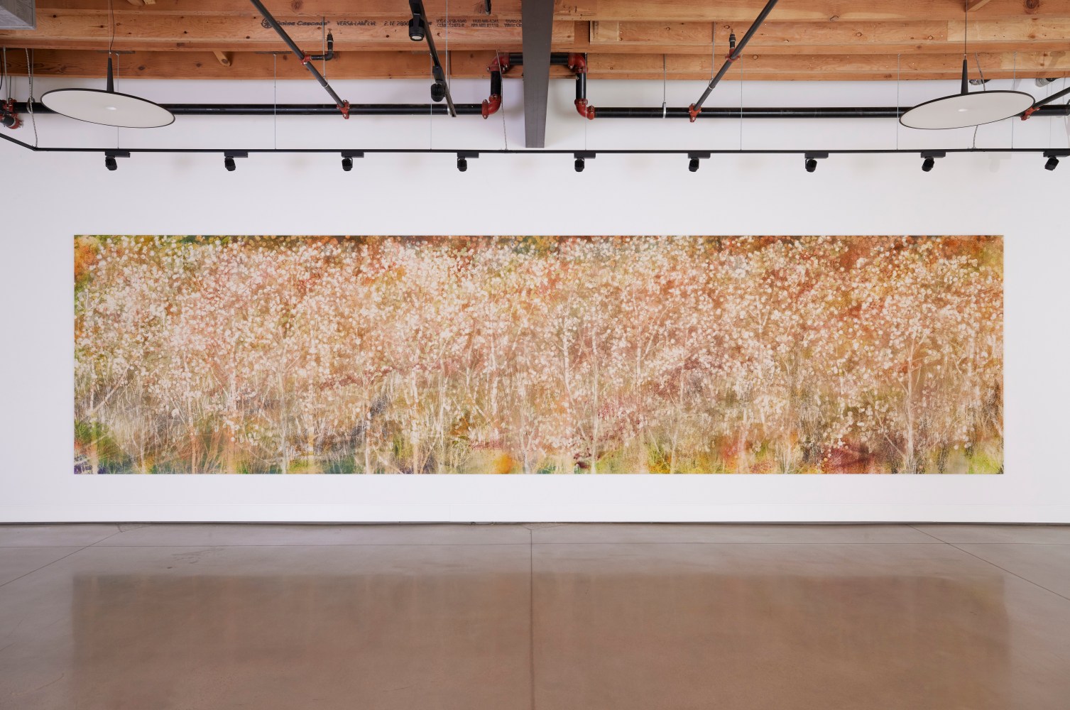 Installation view, Sam Falls, Nothing Without Nature, Cookie Factory, Denver, 2025