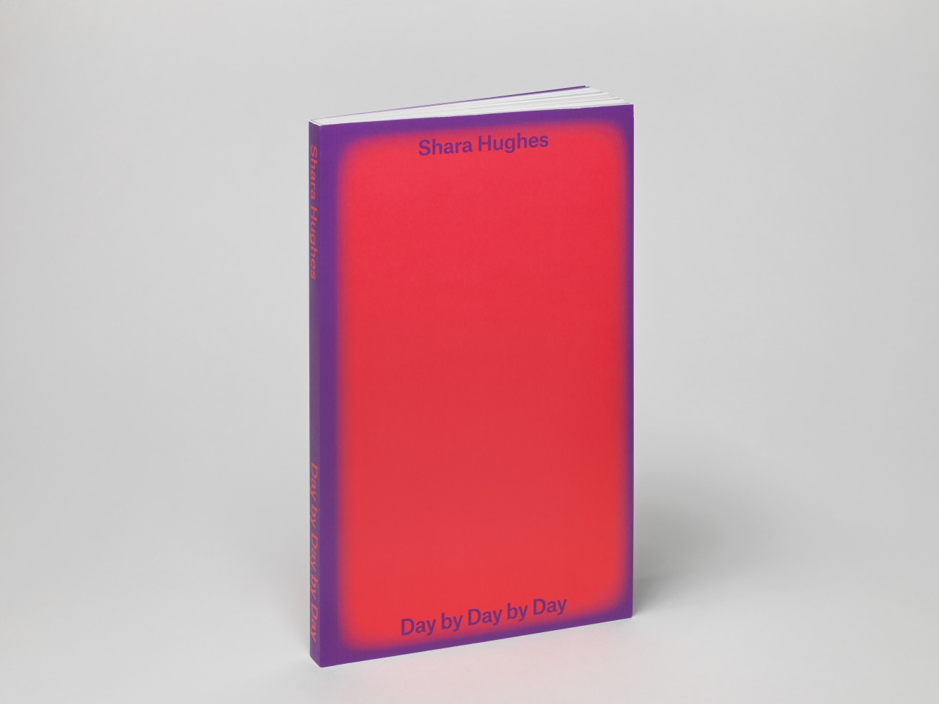 Image of Shara Hughes Day By Day By Day publication