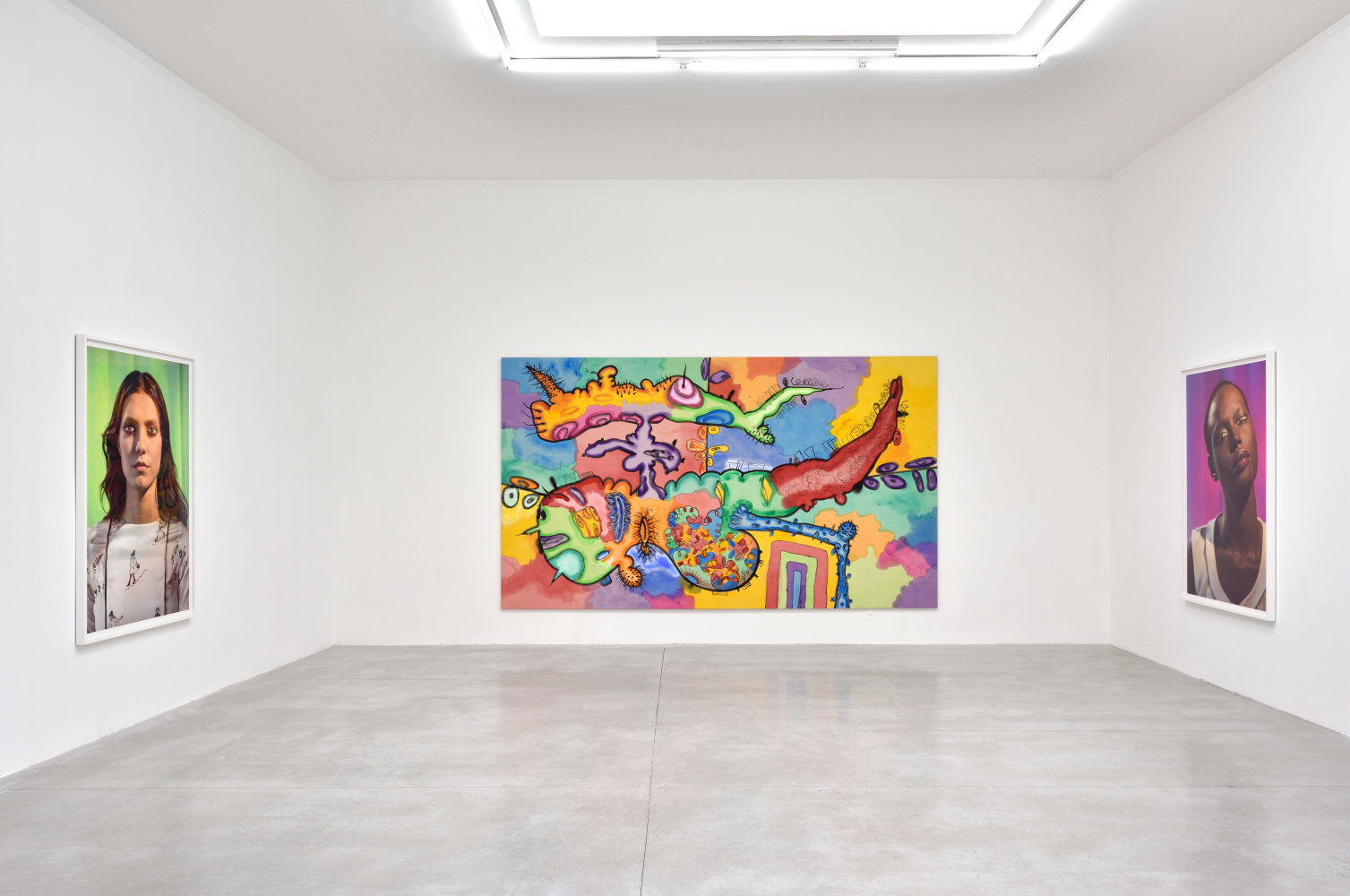 Installation view, Carroll Dunham &amp;amp; Laurie Simmons, Consortium Museum, Dijon, 2024