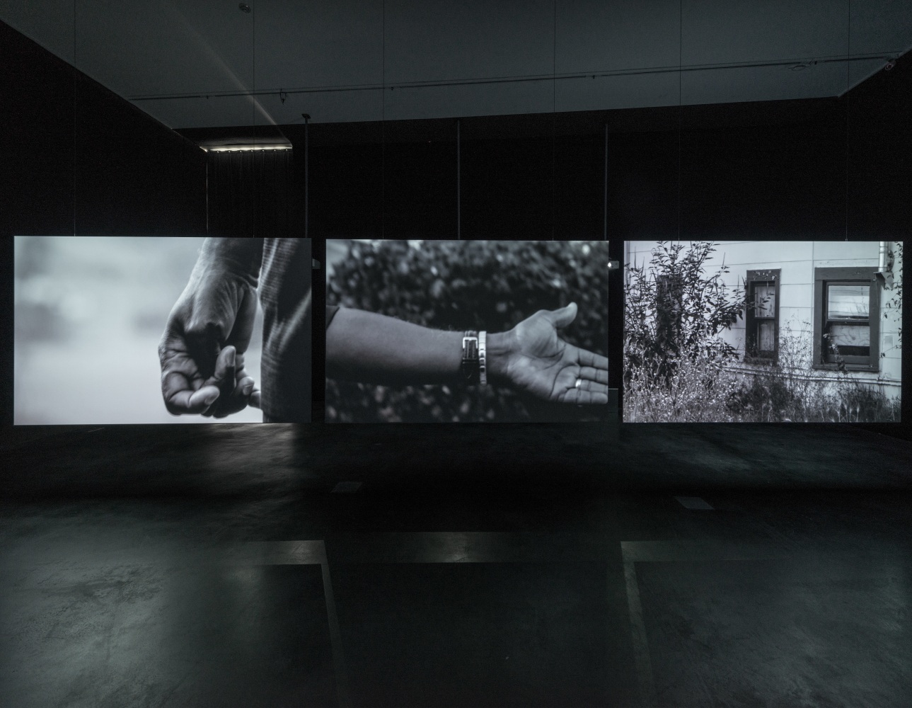 Installation view of paintings by Adam Pendleton