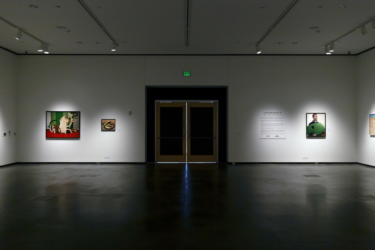 Installation view of Works by Lucas Blalock