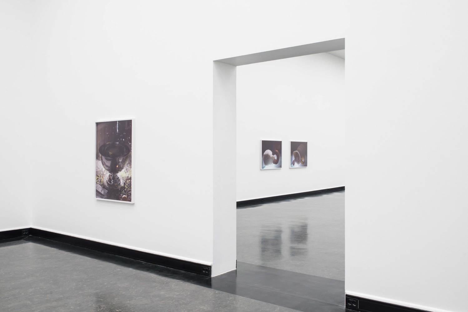 Installation view of photographs by Torbjørn Rødland