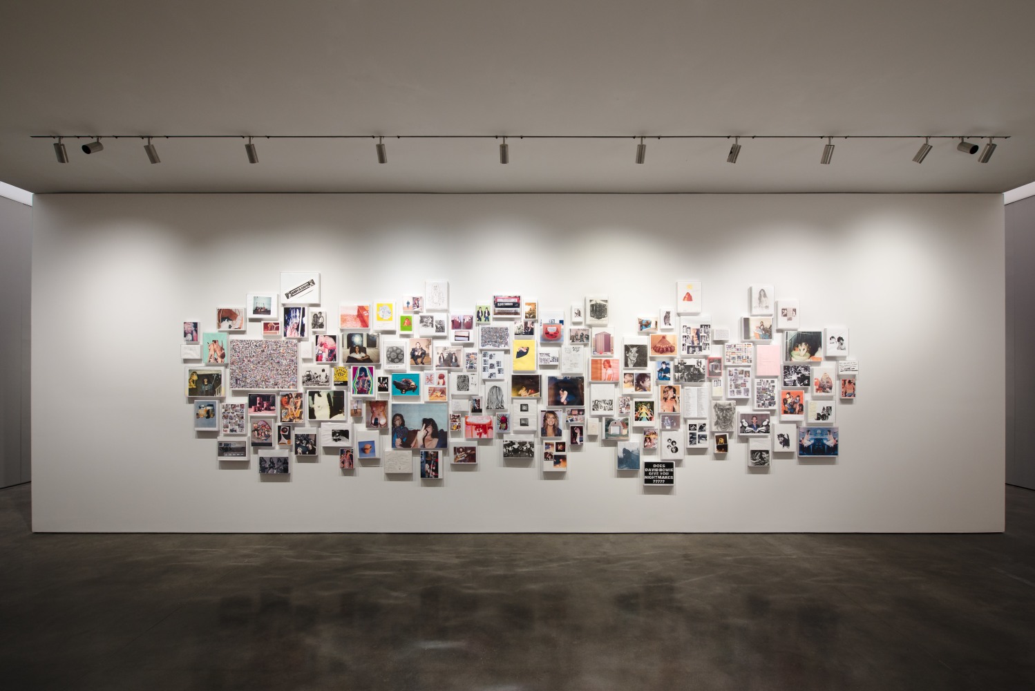 Installation view of paintings by Steven Shearer