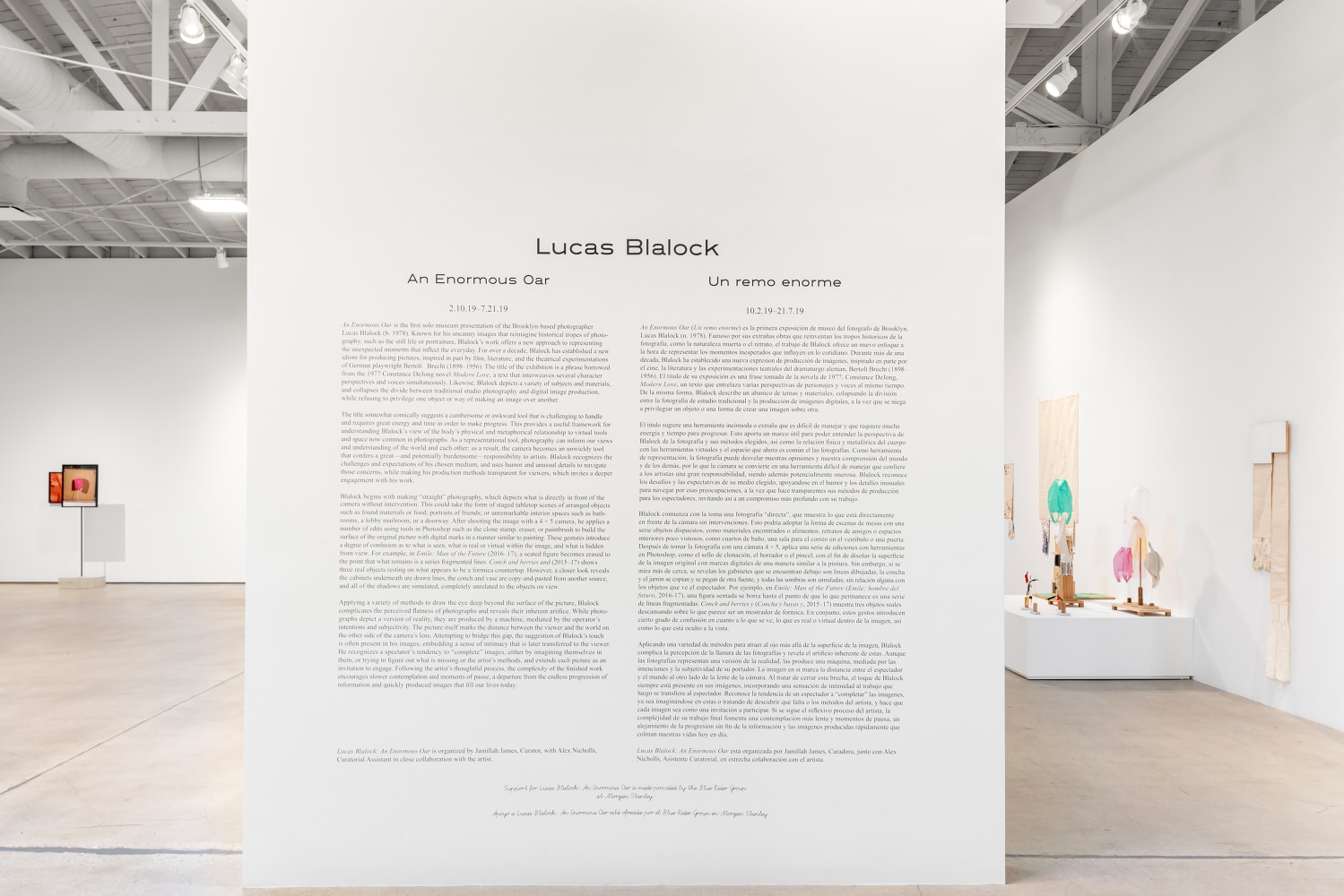 Installation view of Works by Lucas Blalock